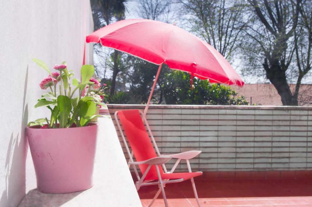 Appartement Terrace Porto Downtown Extérieur photo